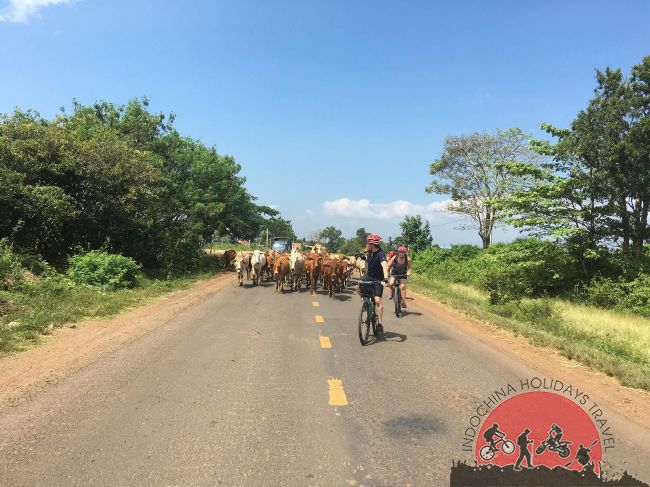 Vietnam Cycling Tours