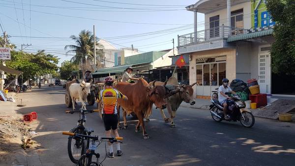 Myanmar Easy Cycle Tours - 4 Days