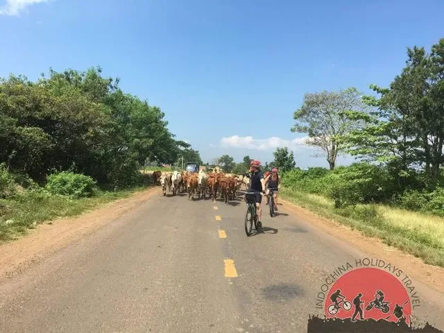 Vietnam Cycling Tours